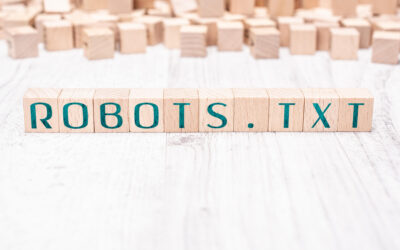 Robots.txt – czym jest plik robots i do czego służy?
