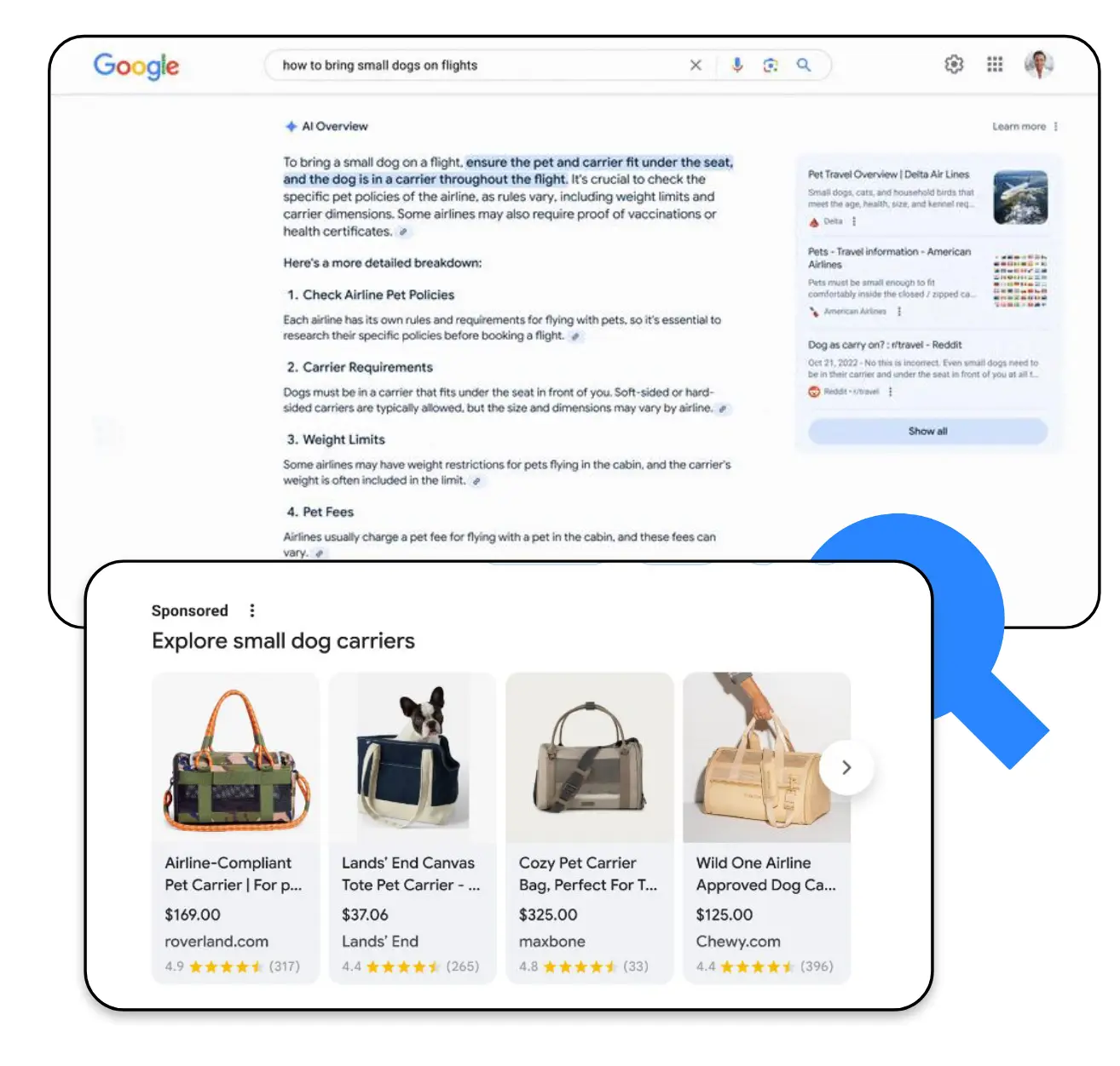 ai-overview-przyklad