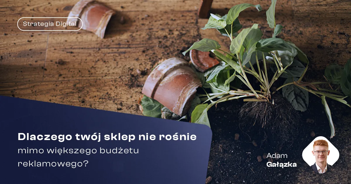 Dlaczego twoj sklep nie rosnie mimo wiekszego budzetu reklamowego okladka blog 1